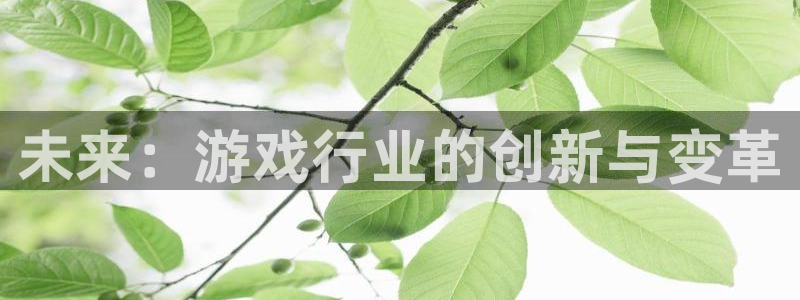 高德娱乐测速登陆：未来：游戏行业的创新与变革