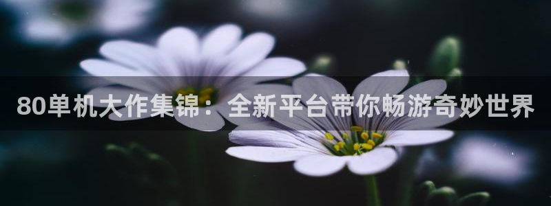 高德娱乐Ii：80单机大作集锦：全新平台带你畅游奇妙世界