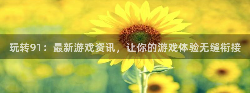 高德娱乐平台登录入口：玩转91：最新游戏资讯，让你的游戏体验