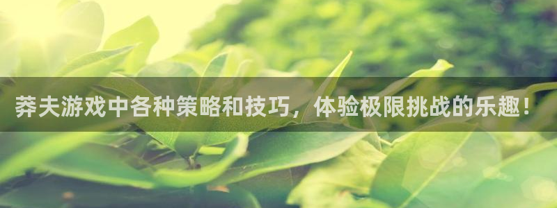 高德娱乐官方注册登录：莽夫游戏中各种策略和技巧，体验极限挑战