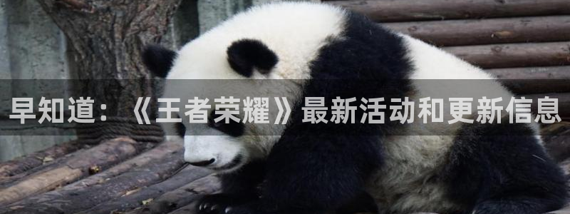 高德娱乐登录地址：早知道：《王者荣耀》最新活动和更新信息