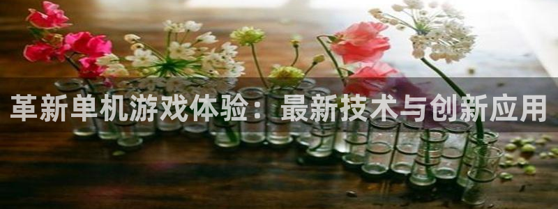 高德娱乐注册平台：革新单机游戏体验：最新技术与创新应用