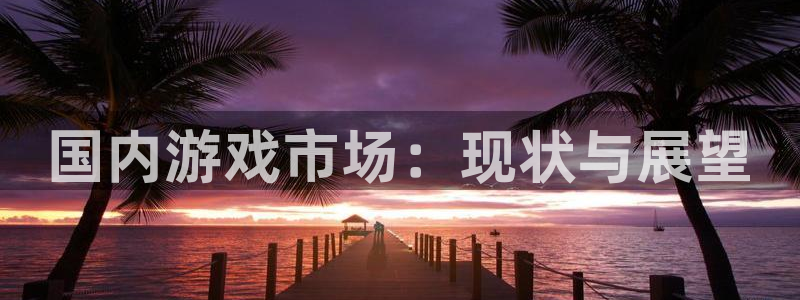 高德娱乐在线登录：国内游戏市场：现状与展望