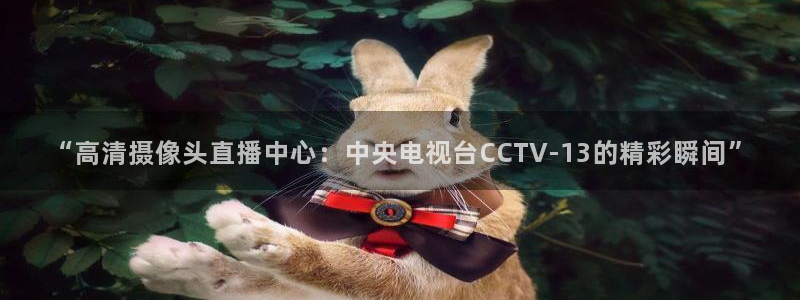 龙门体育直播在线观看：“高清摄像头直播中心：中央电视台CCTV-13的精彩瞬间”