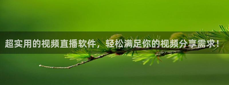 龙门飞甲播放：超实用的视频直播软件，轻松满足你的视频分享需求！