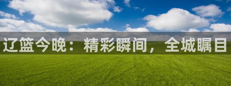龙门飞甲哪个平台可以看：辽篮今晚：精彩瞬间，全城瞩目