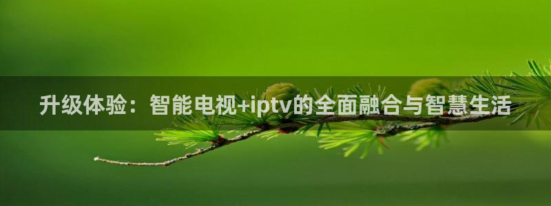 龙门镖局直播：升级体验：智能电视+iptv的全面融合与智慧生活