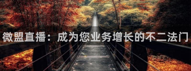 龙门直播app体育：微盟直播：成为您业务增长的不二法门