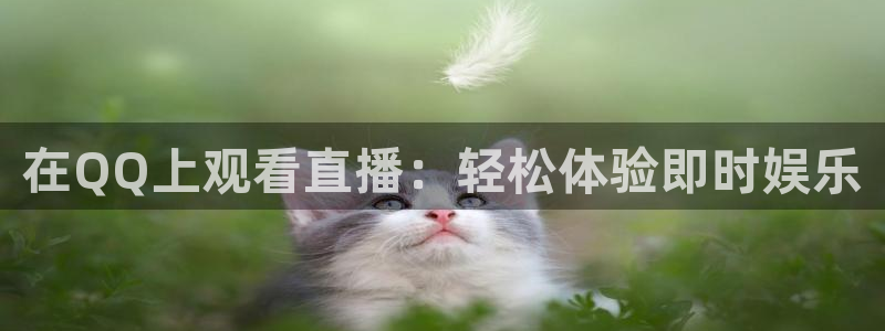 龙门飞甲哪个平台可以看：在QQ上观看直播：轻松体验即时娱乐