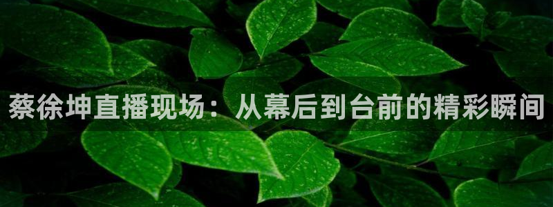 龙门直播间在线观看：蔡徐坤直播现场：从幕后到台前的精彩瞬间